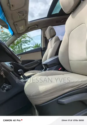 Hyundai Santa Fe 2017 Marron