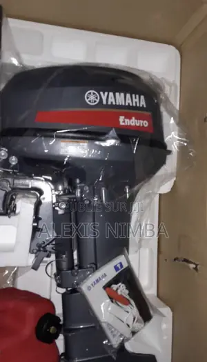 En Vente Moteur Hors-Bord Et Tout Matériaux Nautique