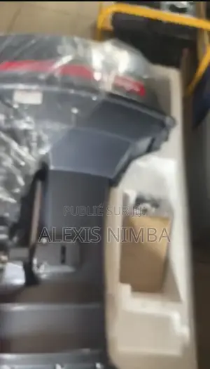 En Vente Moteur Hors-Bord Et Tout Matériaux Nautique