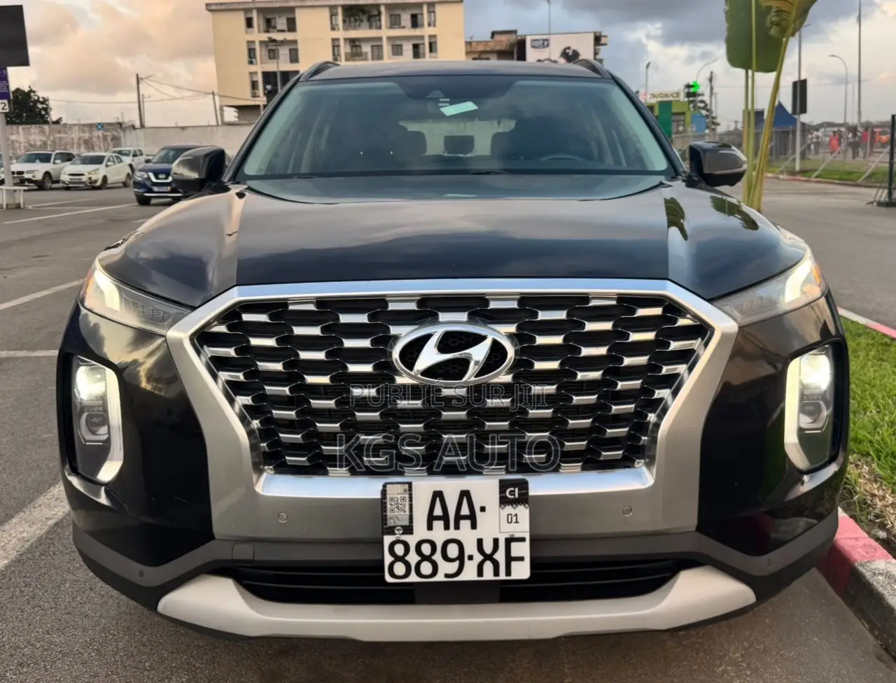 Hyundai Palissade SEL 2021 Noir Mat