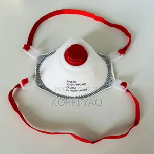 Paquet De 10 Masques De Respiration Ffp3