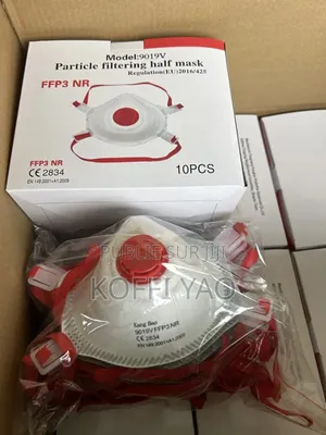 Paquet De 10 Masques De Respiration Ffp3