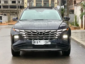 Photo - New Hyundai Tucson 2023 Blue