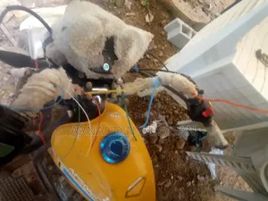 Apsonic AP150X 2020 Jaune