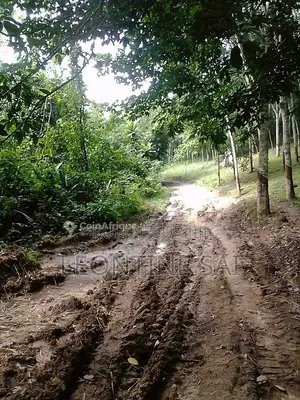 Parcelle d'Un Hectare en Vente