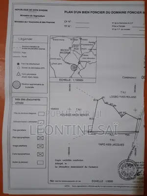 Parcelle d'Un Hectare en Vente