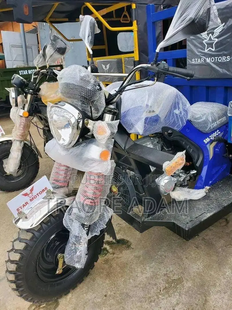 New Apsonic AP150ZH-200 2024