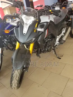 New Haojue DR300 2025