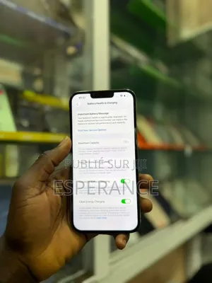 Apple iPhone 13 Pro Max 256 GB Gris