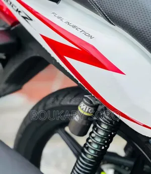 New TVS HLX 125 2025 Rouge