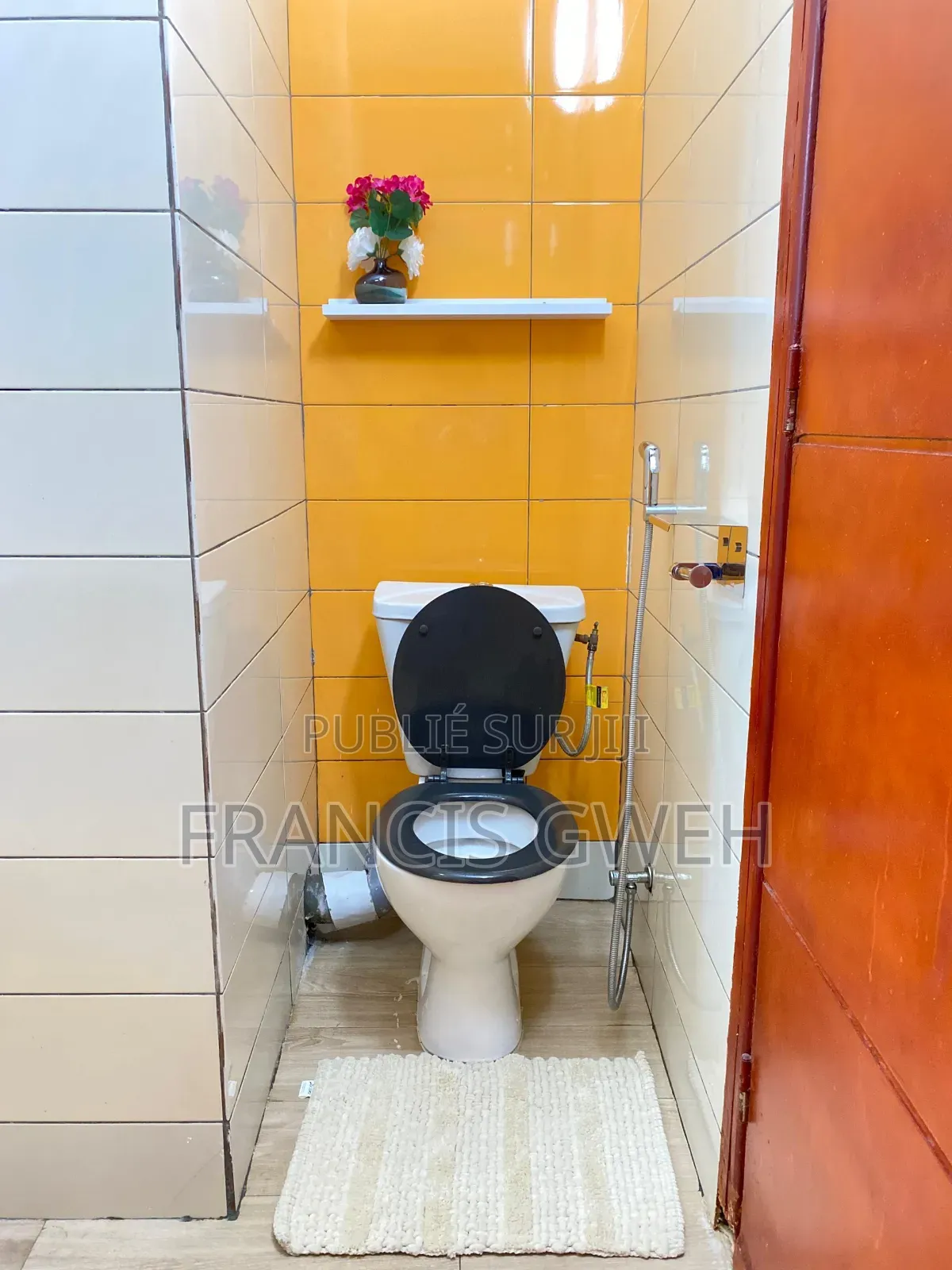 Furnished 2chbre Appartement dans Francis Gweh, Cocody à Louer