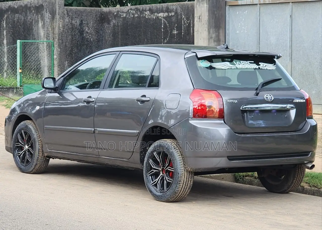 Toyota Corolla 2002 Gris