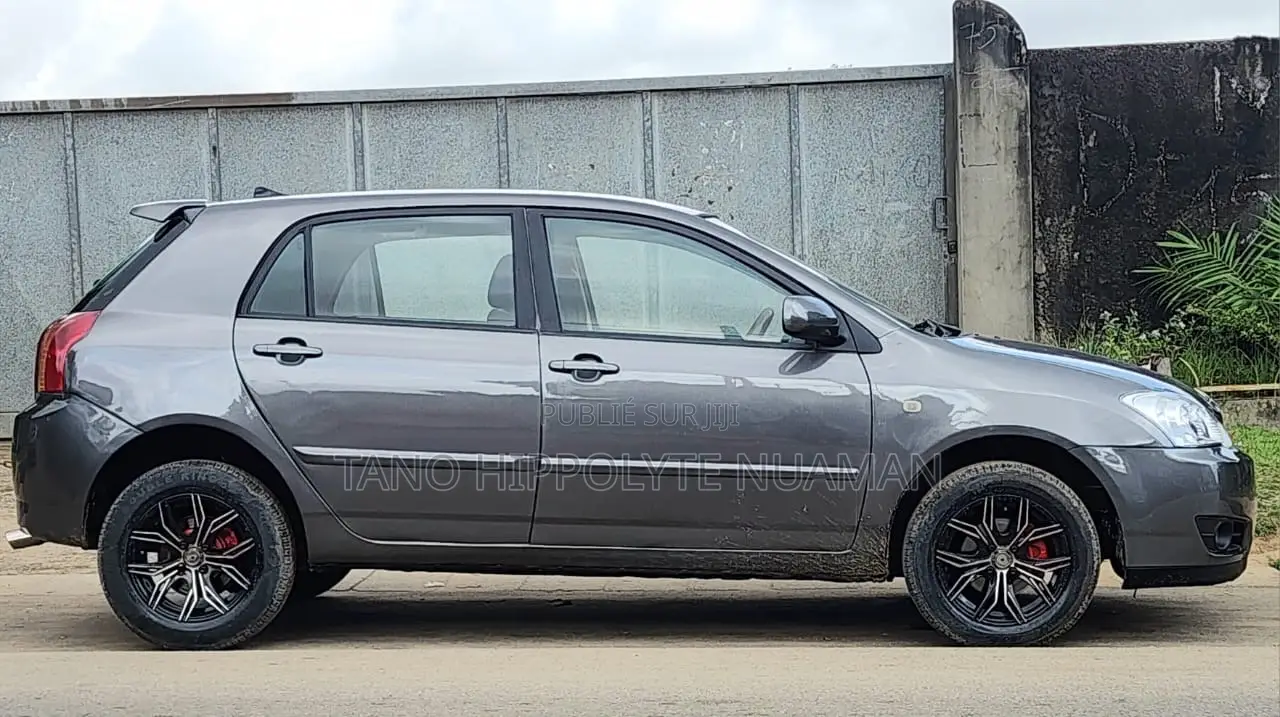 Toyota Corolla 2002 Gris