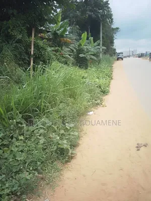 Photo - 8 Hectares en Vente