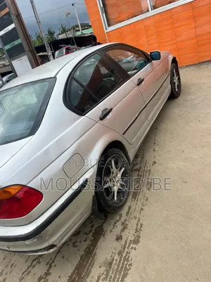 BMW 3 Series 316i RWD 2004 Gris