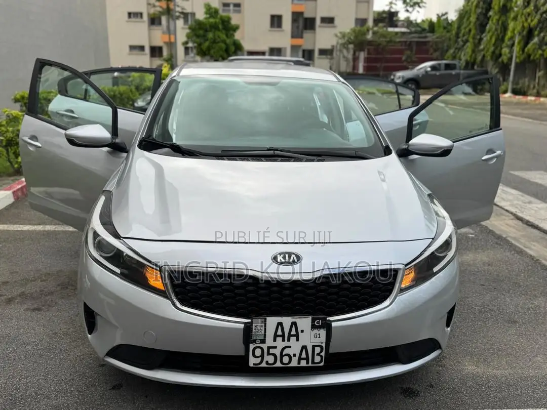 Kia Forte 2018 Gris