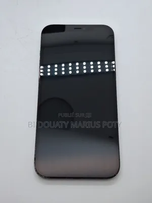 New Apple iPhone 12 Pro Max 256 GB Blue