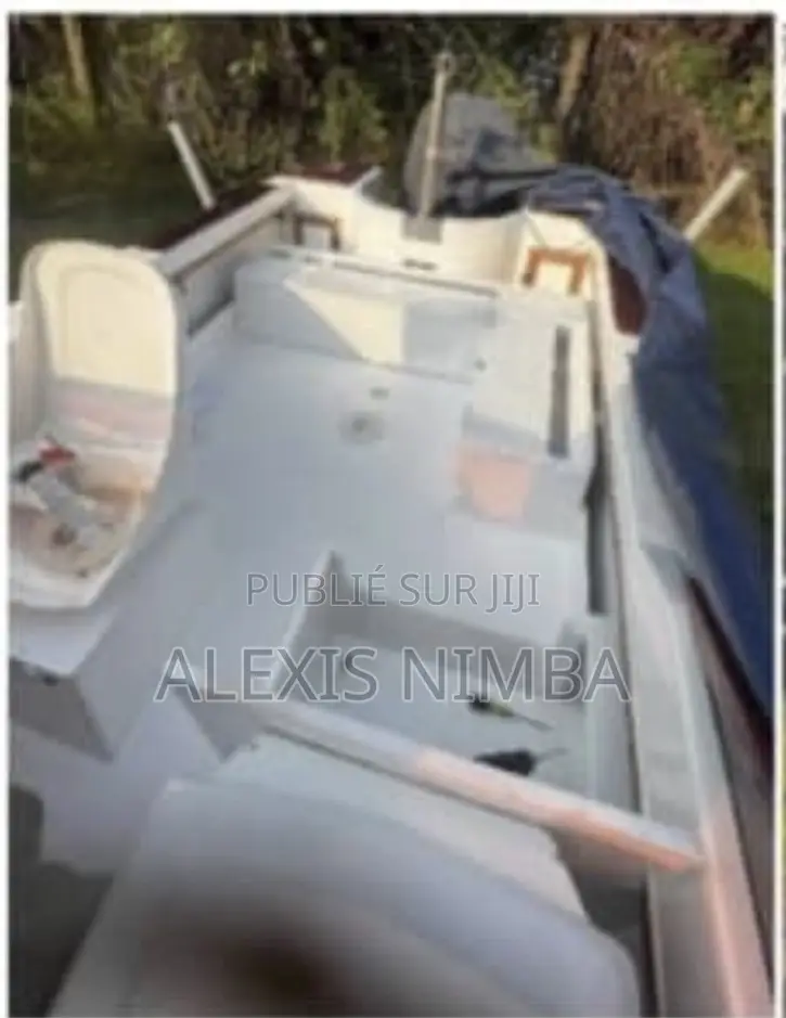 Bateau Plaisance Guenec Moteur 115cv Mercury