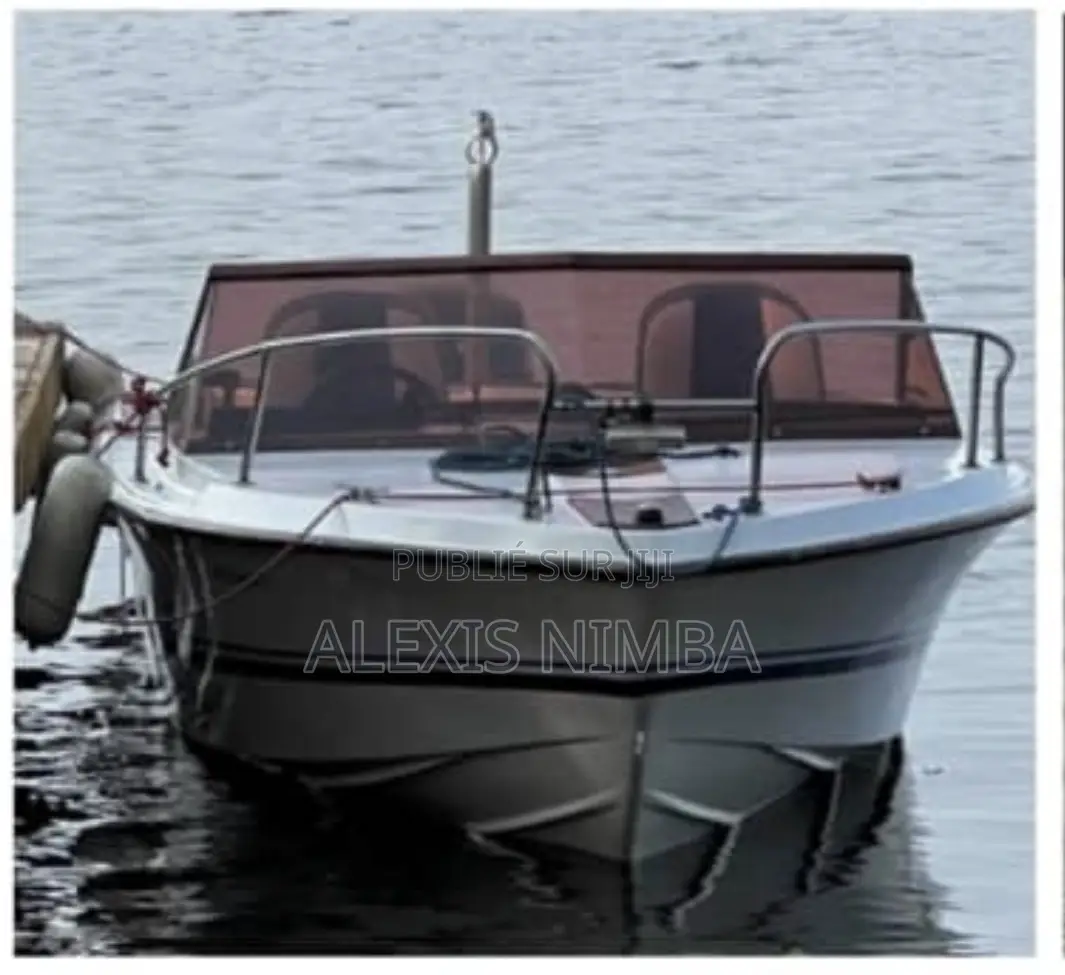Bateau Plaisance Guenec Moteur 115cv Mercury