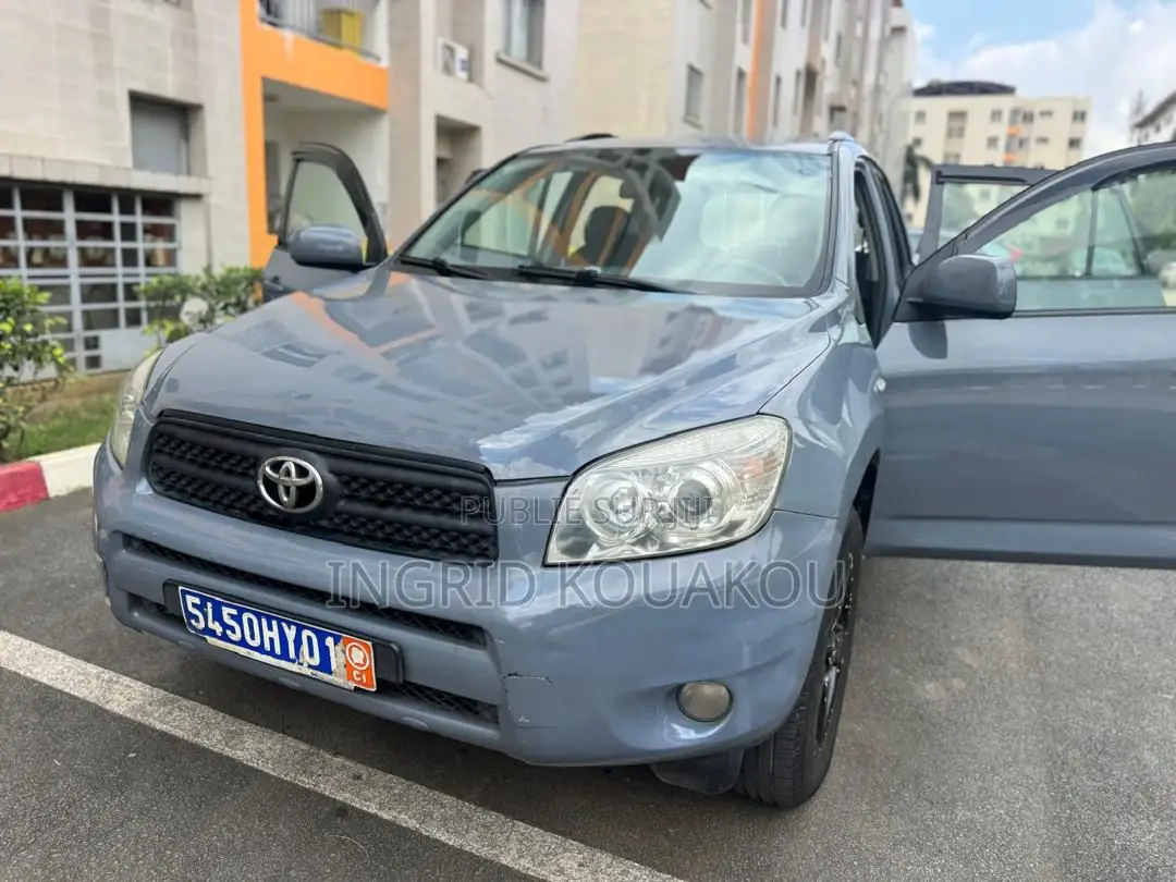 Toyota RAV4 2007 Gris