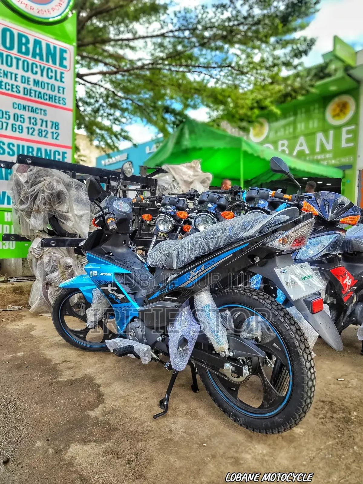 Neuf Apsonic AP125-30 2024 Bleu