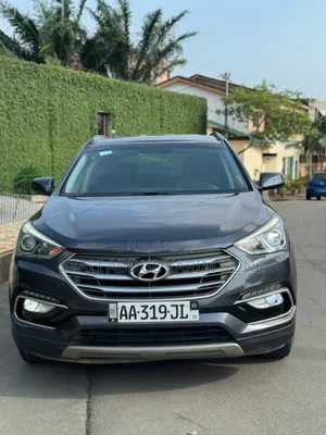 Photo - Hyundai Santa Fe 2019 Gris