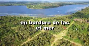 Vente Parcelle De 50 Hectares