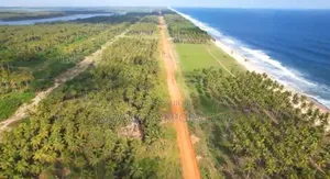 Vente Parcelle De 50 Hectares