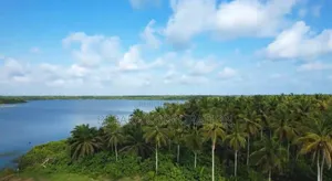 Vente Parcelle De 50 Hectares