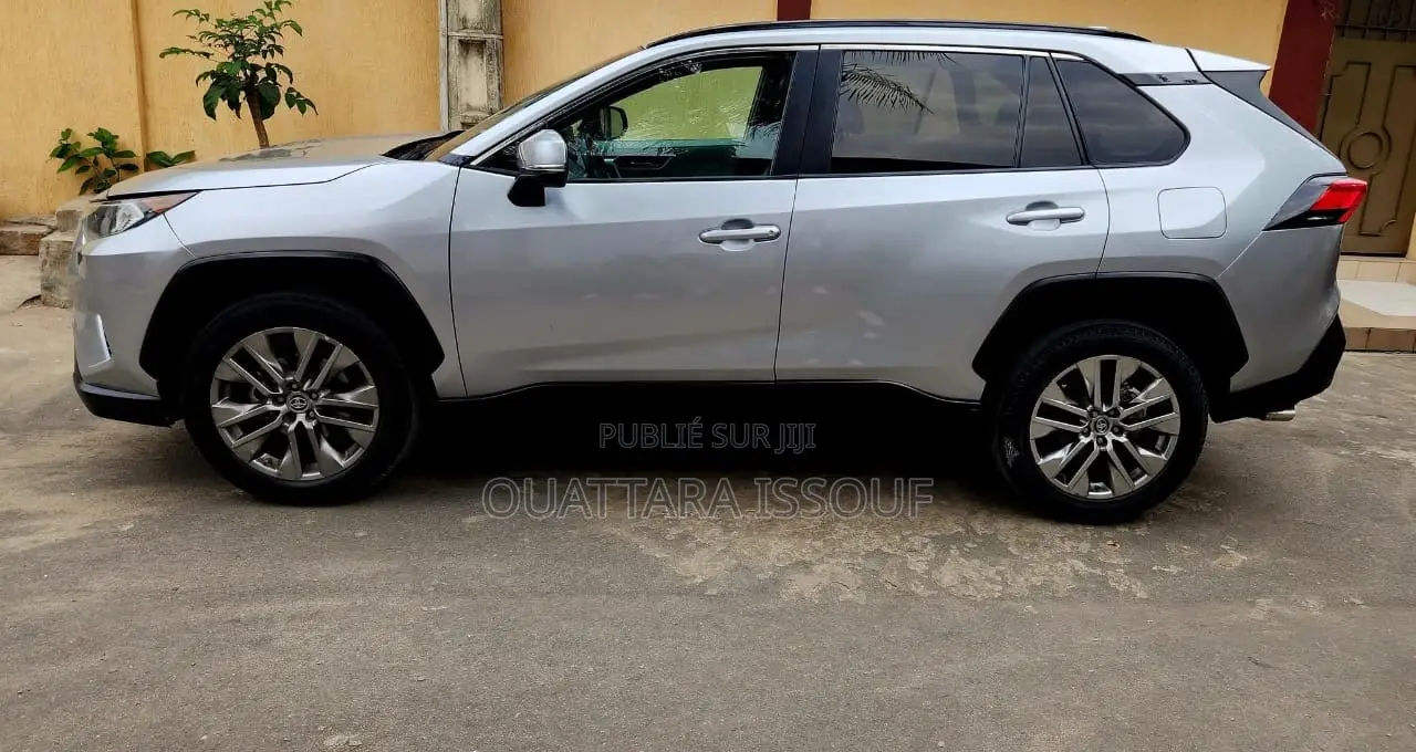 Toyota RAV4 Limited AWD 2020 Gris