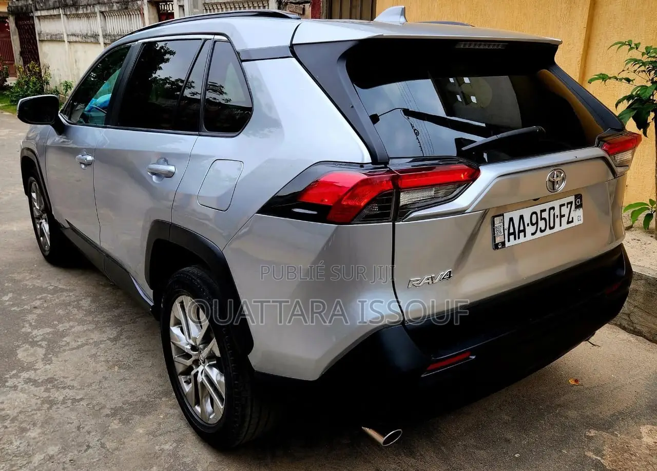Toyota RAV4 Limited AWD 2020 Gris