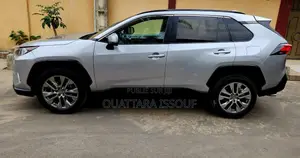 Toyota RAV4 Limited AWD 2020 Gris