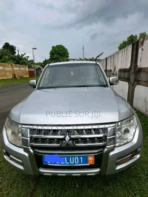 Photo - Mitsubishi Pajero 2023 Gris