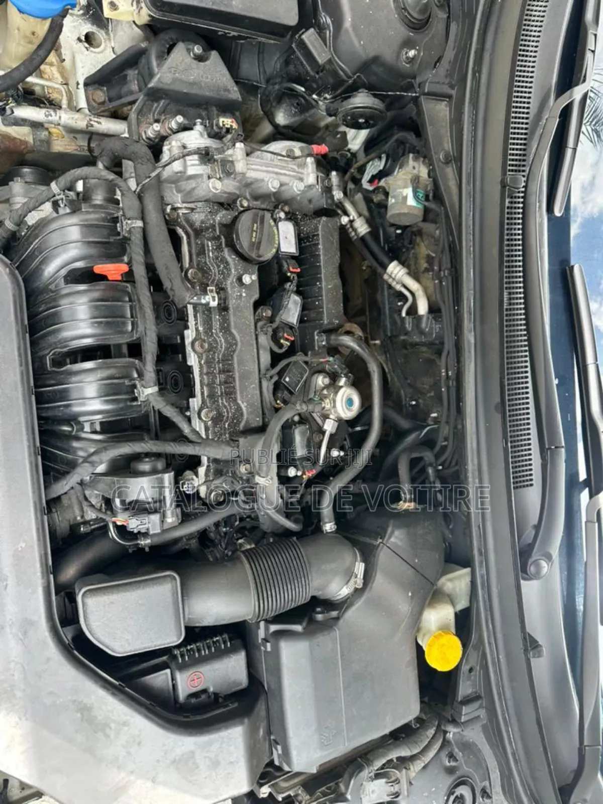 Hyundai Elantra 2016 Blanc