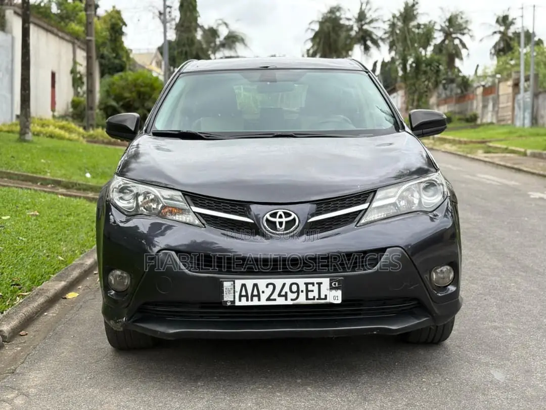 Toyota RAV4 2015 Noir Mat