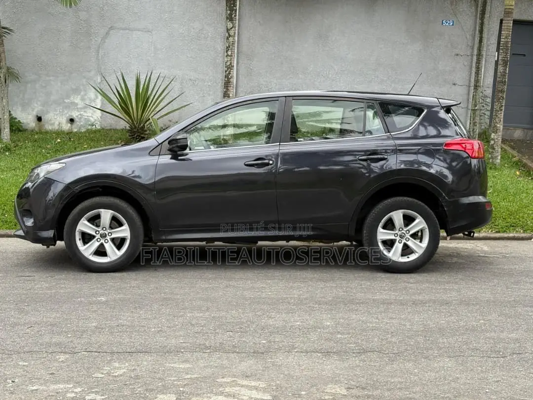 Toyota RAV4 2015 Noir Mat