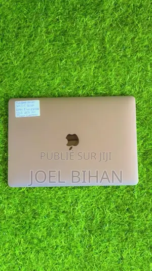 Ordinateur Portable Apple MacBook 2017 8GB Intel Core I7 SSD 256GB