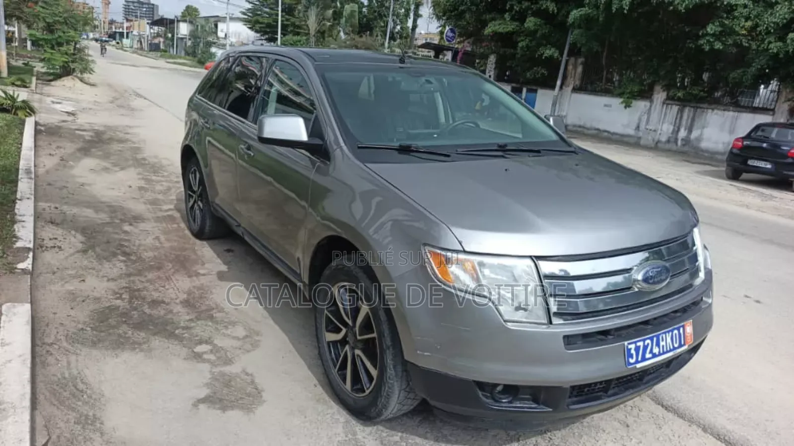 Ford Edge 2008 Gris