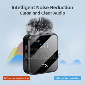 Micro Cravate Sans Fil F11-2