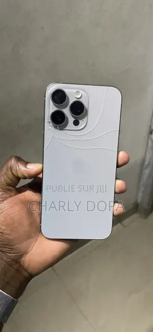 Photo - Apple iPhone 15 Pro Max 256 GB Argenté