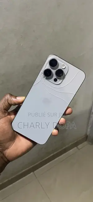 Apple iPhone 15 Pro Max 256 GB Argenté