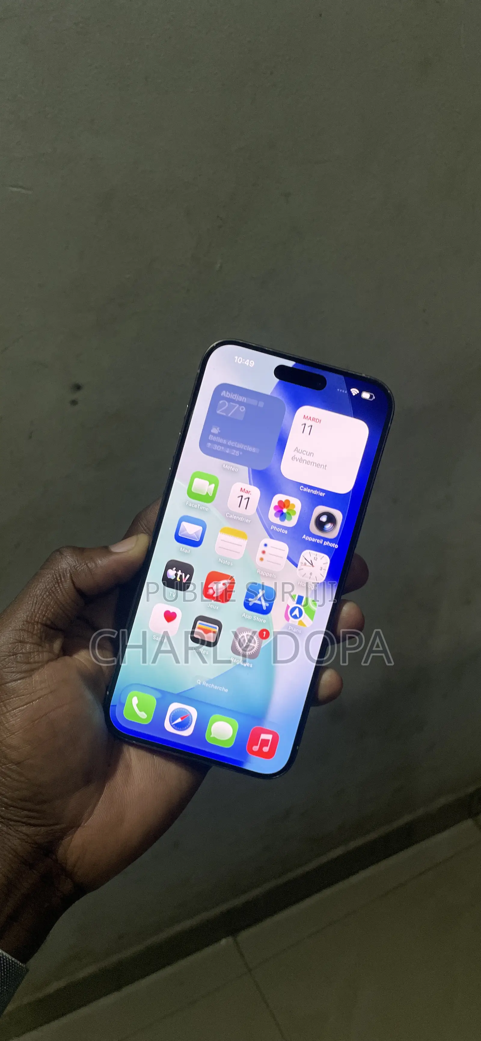 Apple iPhone 15 Pro Max 256 GB Argenté