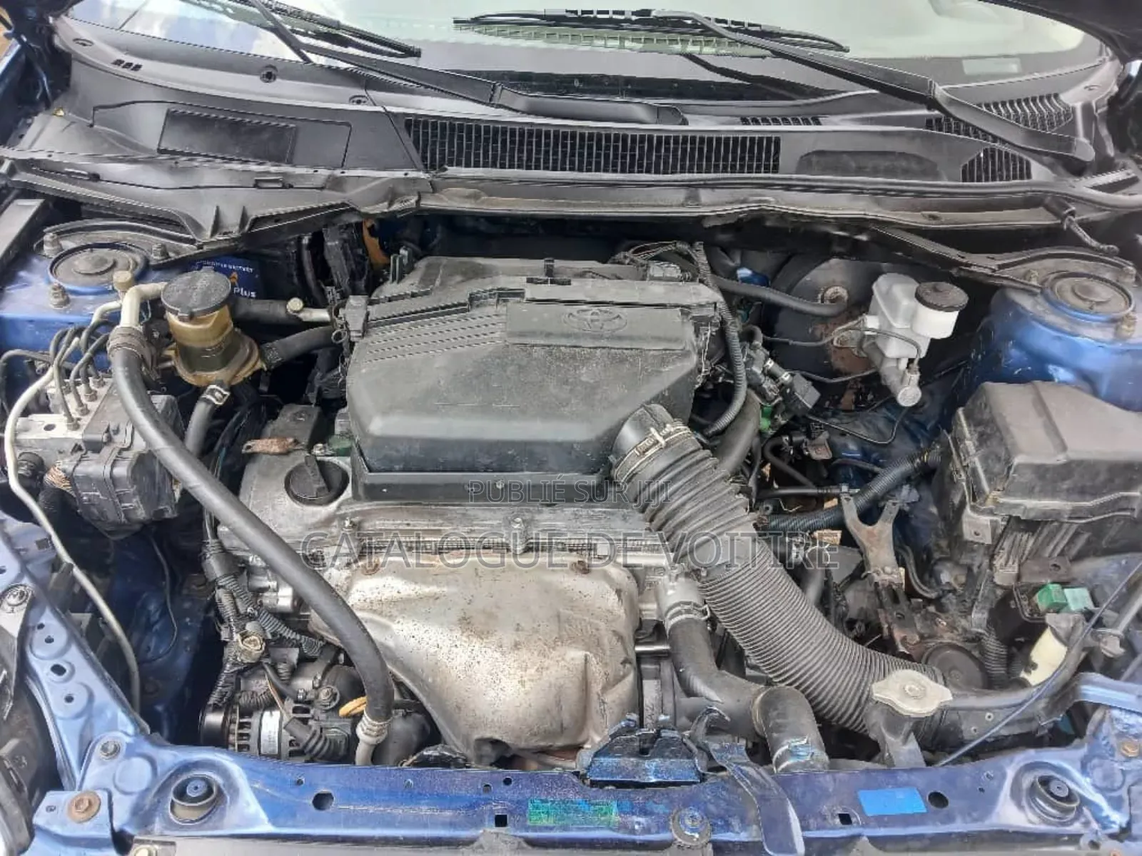 Toyota RAV4 2005 Blue