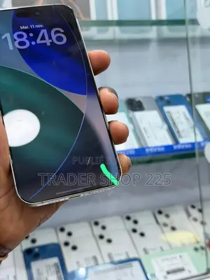 Photo - New Apple iPhone 15 Pro Max 256 GB Argenté