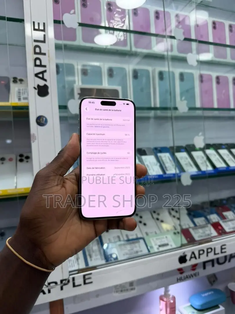 New Apple iPhone 15 Pro Max 256 GB Argenté