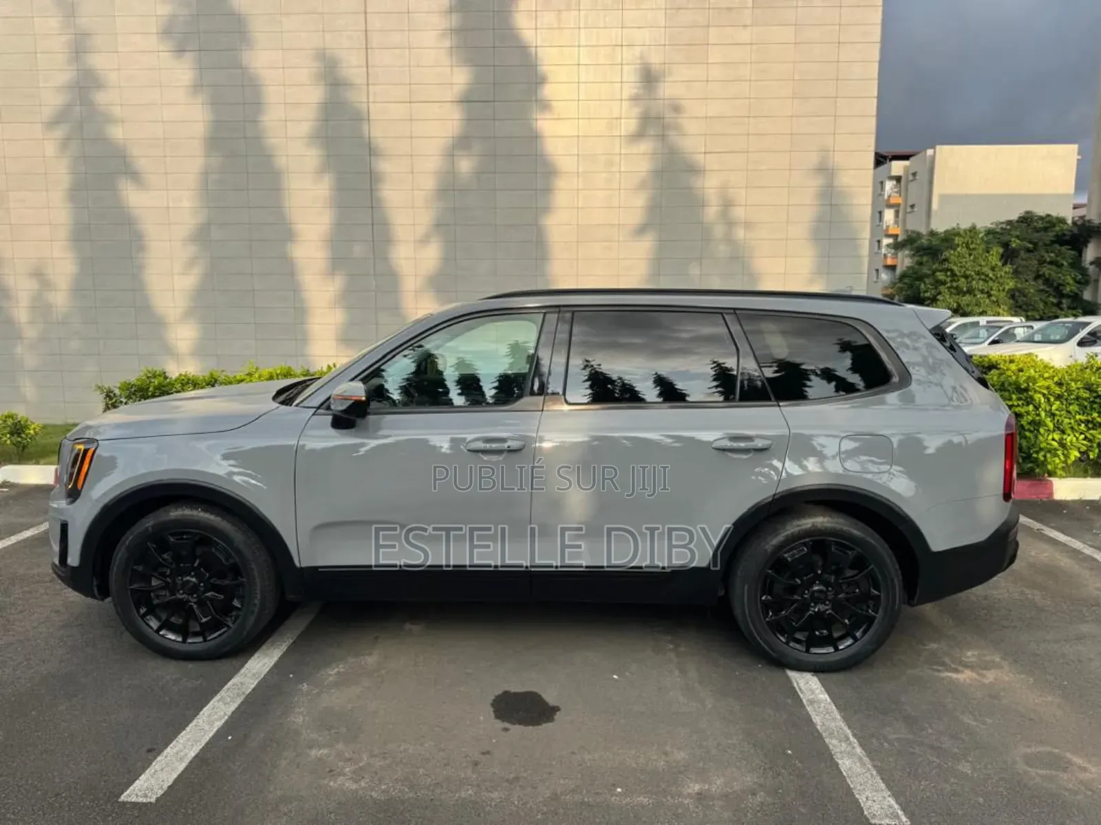 New Kia Telluride 2022 Blanc cassé