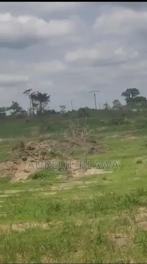 Photo - Vente De Terrain