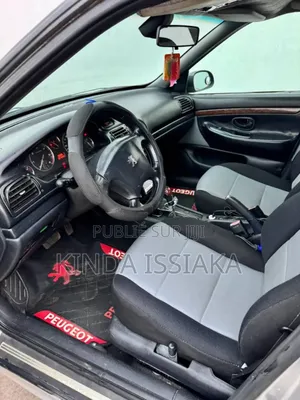 Peugeot 406 2002 Gris
