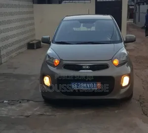 Photo - Kia Morning 2017 Gris