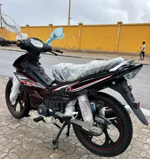 Photo - KTM 2024 Doré